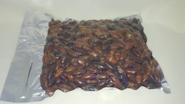 Castanha de Baru sem sal 500g - Image 5