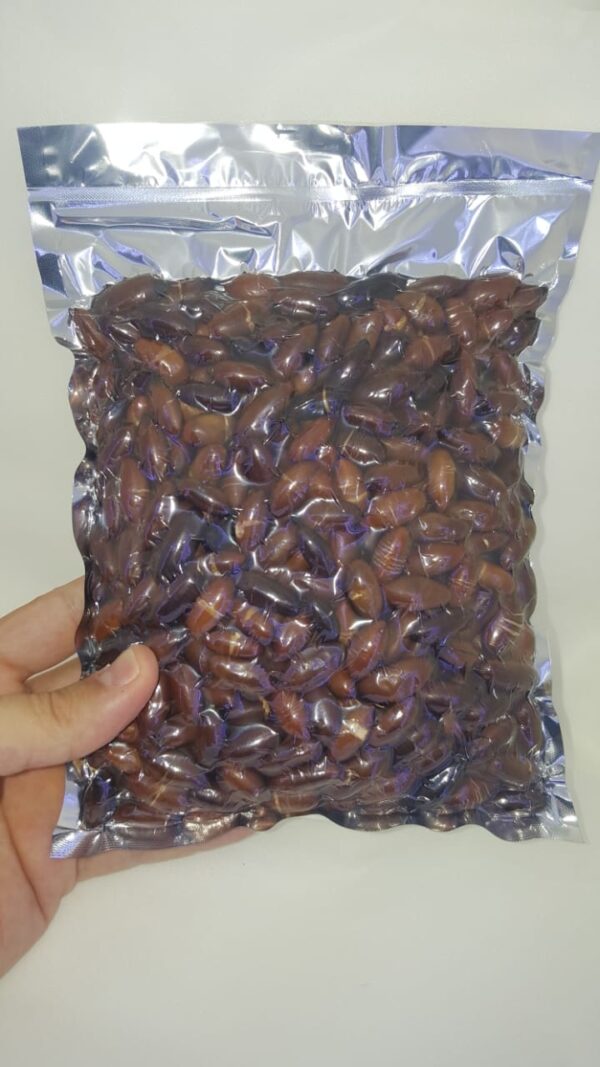 Castanha de Baru sem sal 500g - Image 4
