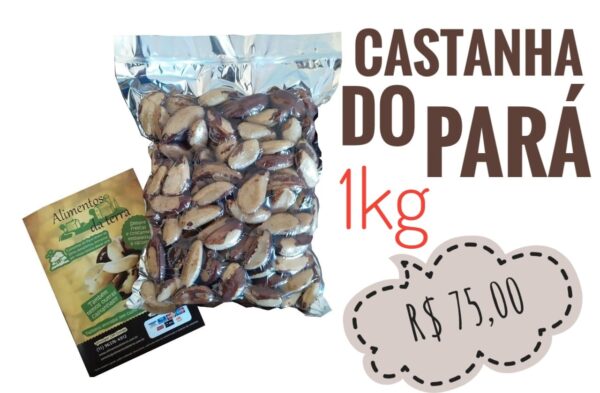 Castanha do Pará natural 1kg - Image 2