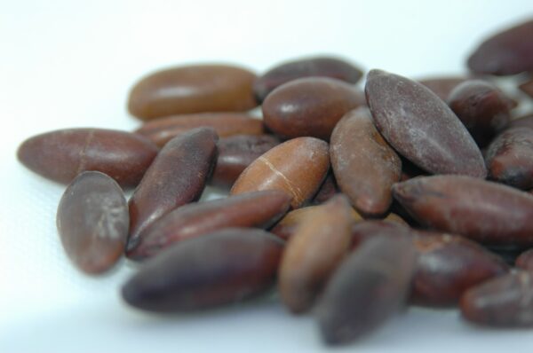 Castanha de Baru sem sal 500g - Image 2