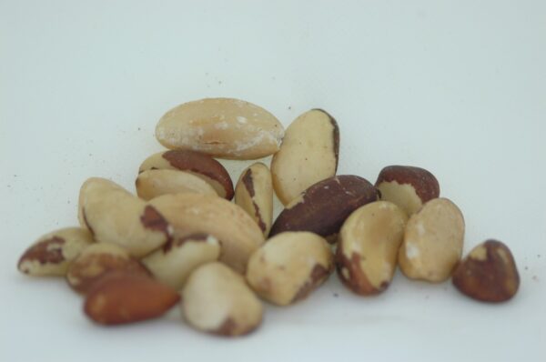 Castanha do Pará natural 500g - Image 2