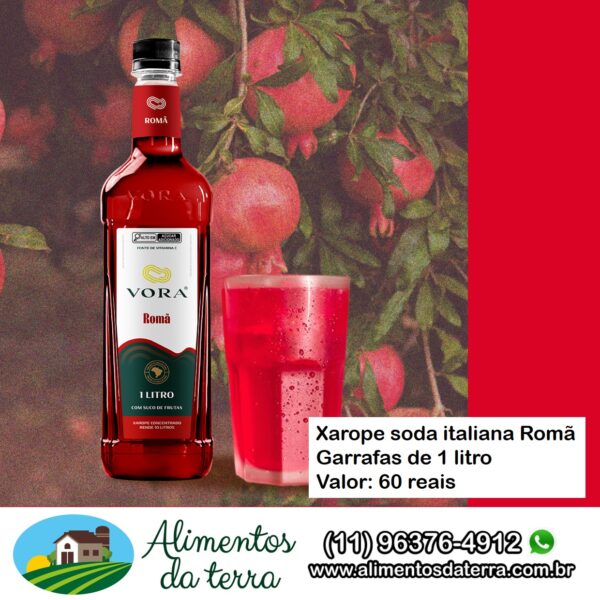 Xarope concentrado soda italiana Romã