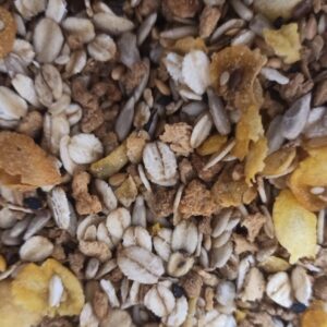 Granola salgada 500g